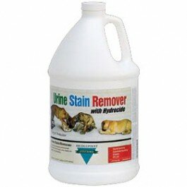 Urine Stain Remover - 1 Gallon